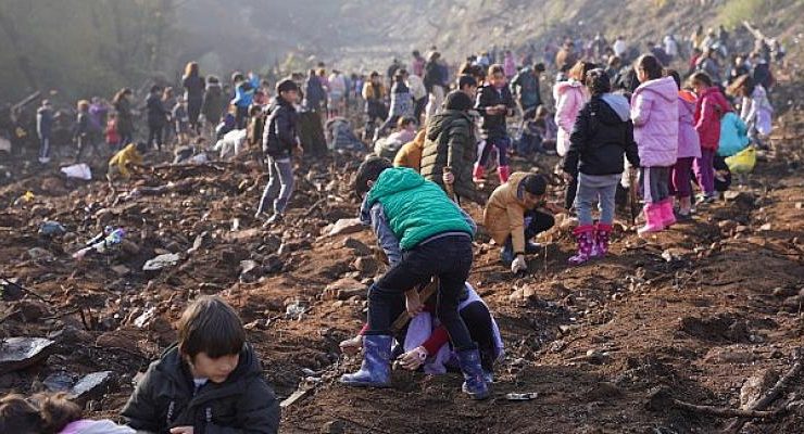 Marmaris’te MADOK- Kızılbük GYO iş birliğiyle ağaç ekim şenliği gerçekleştirildi