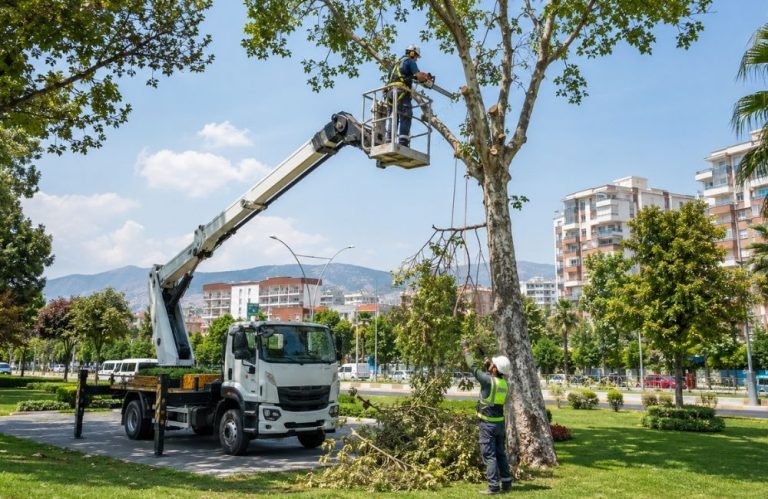 Peyzaj ve Ağaç Budama İşlerinde Sepetli Vinç Çözümleri